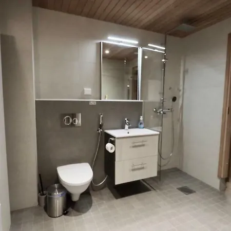 公寓 Levillas Tunturinlaita 列维